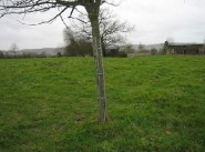 Acquisto vendita terreno Neufchatel En Bray