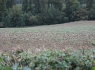 Terreno Saint Saens